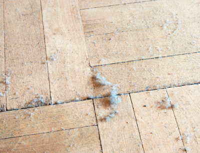dust 